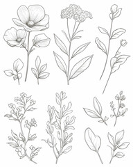 Hand-drawn botanical elements, including flowers, leaves, and stems.