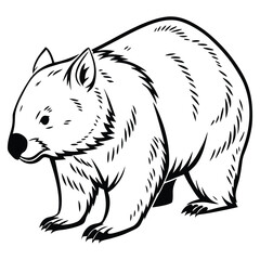 vector Drawing of Arctic fox 