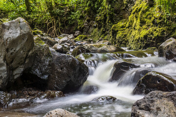 A stream along the Pipiwai Trail in Haleakala National Park on the island of Maui in Hawaii.