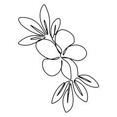 Obraz premium Flower Plant Tree Graphic Design Vector Line Art