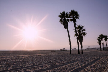 A breathtaking sunset view at Santa Monica Beach showcasing silhouetted palm trees and a serene ocean backdrop.
