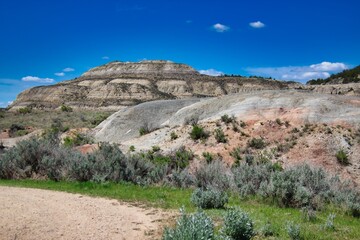 Late Spring in Theodore Roosevelt National Park in North Dakota.