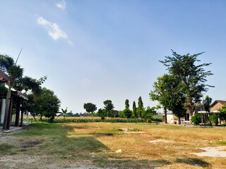 Fototapeta premium View of the field during the day