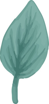 teal leaf watercolor style clip art preview