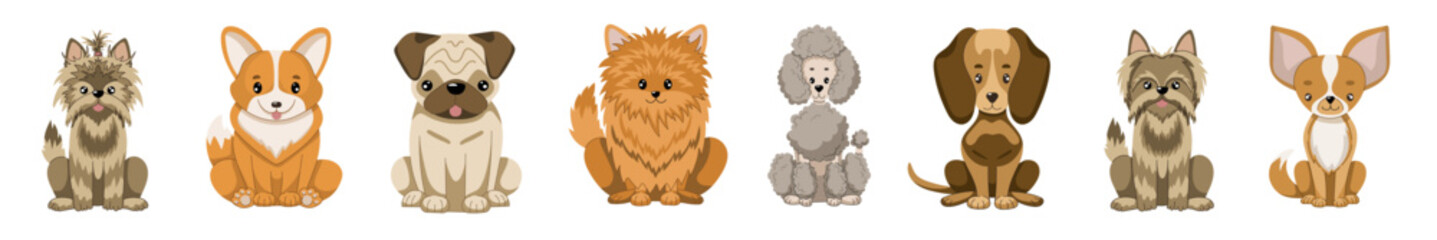 Medium dog breeds collection. Vector illustration of sitting dogs in flat style. Isolated illustrations set on white