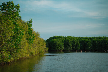 On a summer day, the green mangroves of the island meet the sparkling sea and clear sky, blending nature’s vibrant colors into a breathtaking coastal landscape.