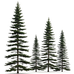 Fototapeta premium trees vector