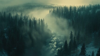 Foggy forest with a winding river, creating a mysterious and ethereal scene.
