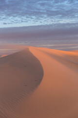 Wind blows sand across a dune in the early morning.