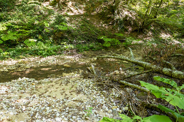 nature park , a walk along the riverbed with an overview of the stone bottom and banks