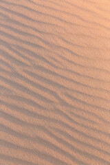 Morning sun warming up the ripples on the sand dune.