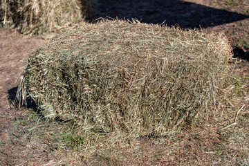 A pile of hay is on the ground