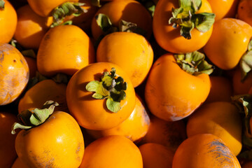 収穫後の市田柿の写真