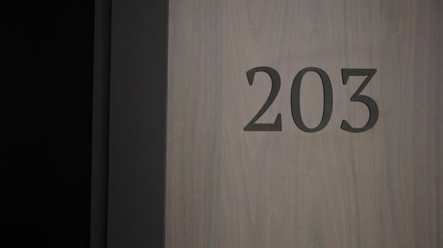 A detailed closeup view of the door featuring the number 203, highlighting a modern architectural design