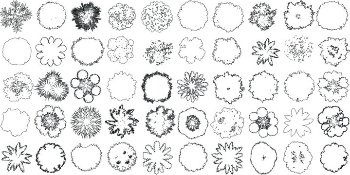 Tree top view line illustrations, perfect treetop for architectural plans, landscape design, and urban planning projects.  detailed tree and foliage sketches for professional designs