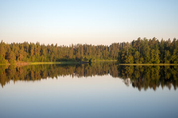 morning landscape on a forest lake