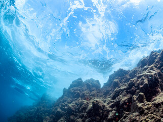 岩礁に当たる白波が美しいヒリゾ浜の青い海。

静岡県伊豆半島賀茂郡南伊豆町中木ヒリゾ浜2024年

