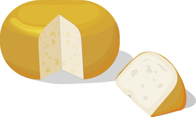 flat vector illustration of a round Dutch Gouda cheese with a slice. 