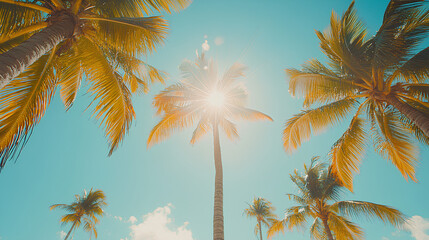 Tropical sun shining brightly over a palmlined beach, warm weather, summer vibes.
