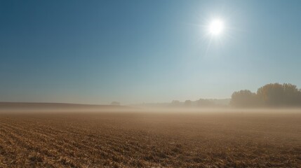 A very hot sunny day in summer