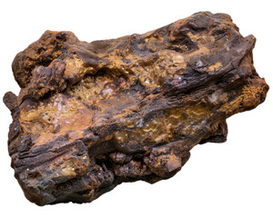 A large piece of amber with a rich, textured surface and various inclusions.