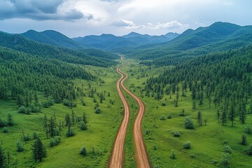Forest road, Nature&rsquo;s Path, Roadway Through Green Forest