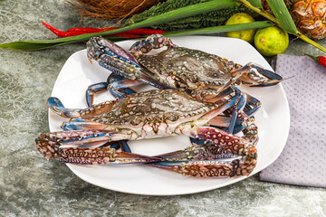 Raw blue crab for cooking © Andrei Starostin