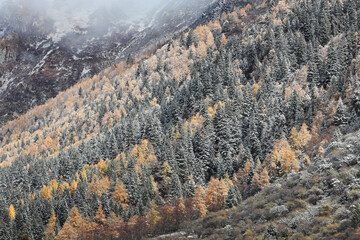 Drone aerial photography flying Landscape of Changping Valley, Siguniang National Park in western Sichuan of China.