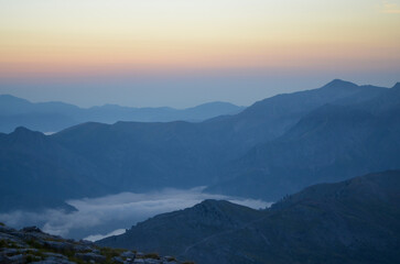 mountains in the fog