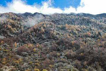 Drone aerial photography flying Landscape of Changping Valley, Siguniang National Park in western Sichuan of China.