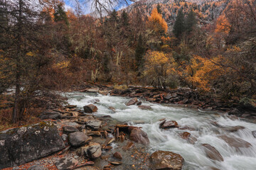 Drone aerial photography flying Landscape of Changping Valley, Siguniang National Park in western Sichuan of China.