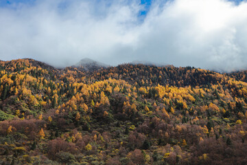 Drone aerial photography flying Landscape of Changping Valley, Siguniang National Park in western Sichuan of China.