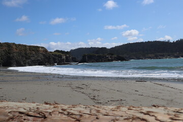 beach in winter
