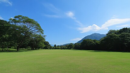 Obraz premium Verdant Meadows: A Tranquil Natural Landscape