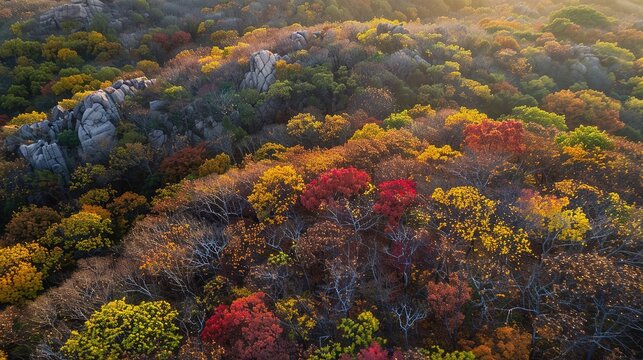 The Scenery of Autumn Forests in the Sunset Mountains - a breathtaking and idyllic visual. The autumn forests in the sunset mountains create a warm and vibrant look. It gives the impression of a seren