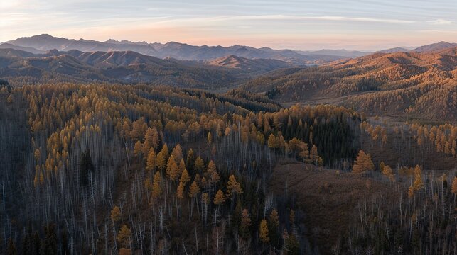 The Scenery of Autumn Forests in the Sunset Mountains - a breathtaking and idyllic visual. The autumn forests in the sunset mountains create a warm and vibrant look. It gives the impression of a seren