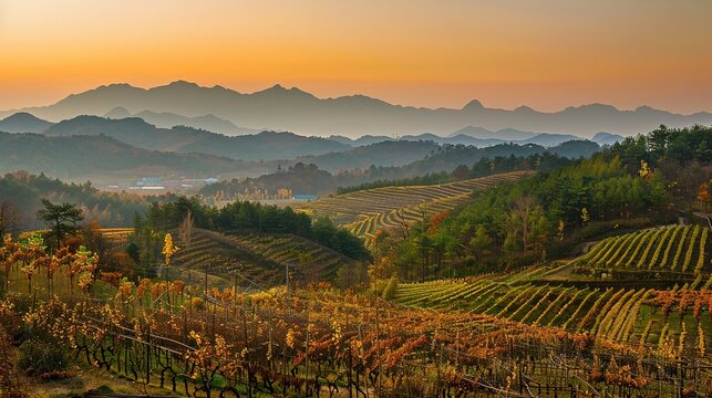 The Scenery of Autumn Forests in the Sunset Mountains - a breathtaking and idyllic visual. The autumn forests in the sunset mountains create a warm and vibrant look. It gives the impression of a seren