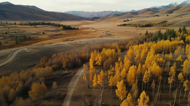 The Scenery of Autumn Forests in the Sunset Mountains - a breathtaking and idyllic visual. The autumn forests in the sunset mountains create a warm and vibrant look. It gives the impression of a seren
