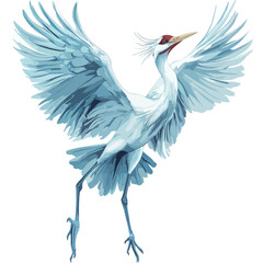 Obraz premium Beautiful crane bird isolated on a white background. Vector illustration. 