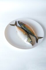 mackerel fish fresh from the sea