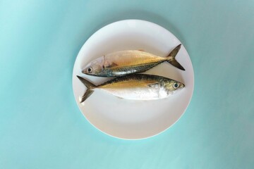 mackerel fish fresh from the sea