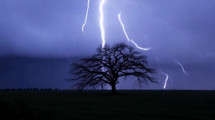Dramatic static video of a lone tree in a thunderstorm at night with heavy rain and lightning illuminating its gnarled branches - Powered by Adobe