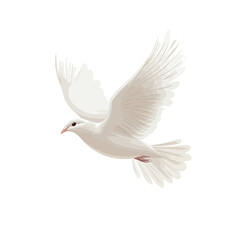 Flying white dove isolated on a white background. Vector illustration of a bird. 