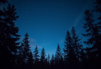 A night sky filled with stars over a silhouette of pine trees, creating a serene and peaceful atmosphere