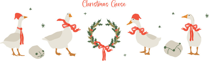 Christmas Holiday Flat goose set illustration. Vector cliparts of domestic birds. Festive Farming