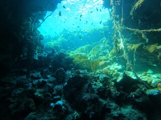 Inside another world 