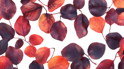 Leaves in shades of red, orange, and brown floating down on a white background, natural and serene autumn scene