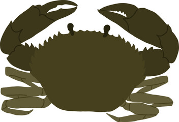 Hand-Drawn of Crab Illustration
