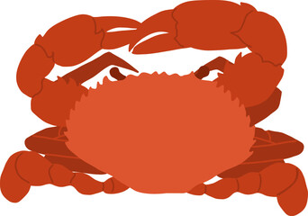 Hand-Drawn of Steamed Crab Illustration