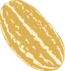 Hand-Drawn of Yellow Melon Illustration